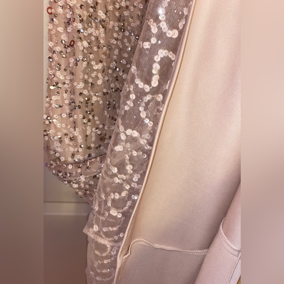 Adrianna Papell sequin blouson bridesmaid gown dress in blush color - Picture 11 of 11